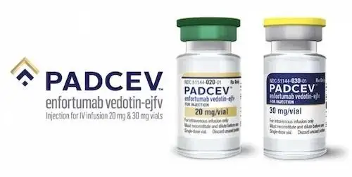 恩诺单抗(Padcev)的剂量是如何计算的？需要长期使用吗？