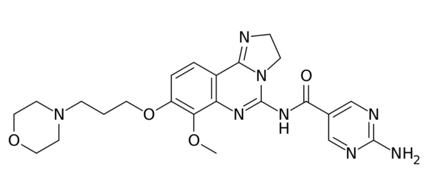 库潘尼西(Copanlisib)在治疗不同疾病当中有哪些不同类型的副作用? 库潘尼西(Copanlisib)在治疗不同疾病当中有哪些不同类型的副作用?
